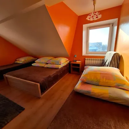 Lejlighed Atticapartament Kluszkowce